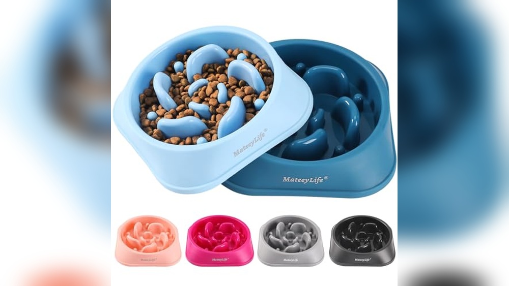 Best Dog Slow Feeder Bowl for Small Dogs 2026